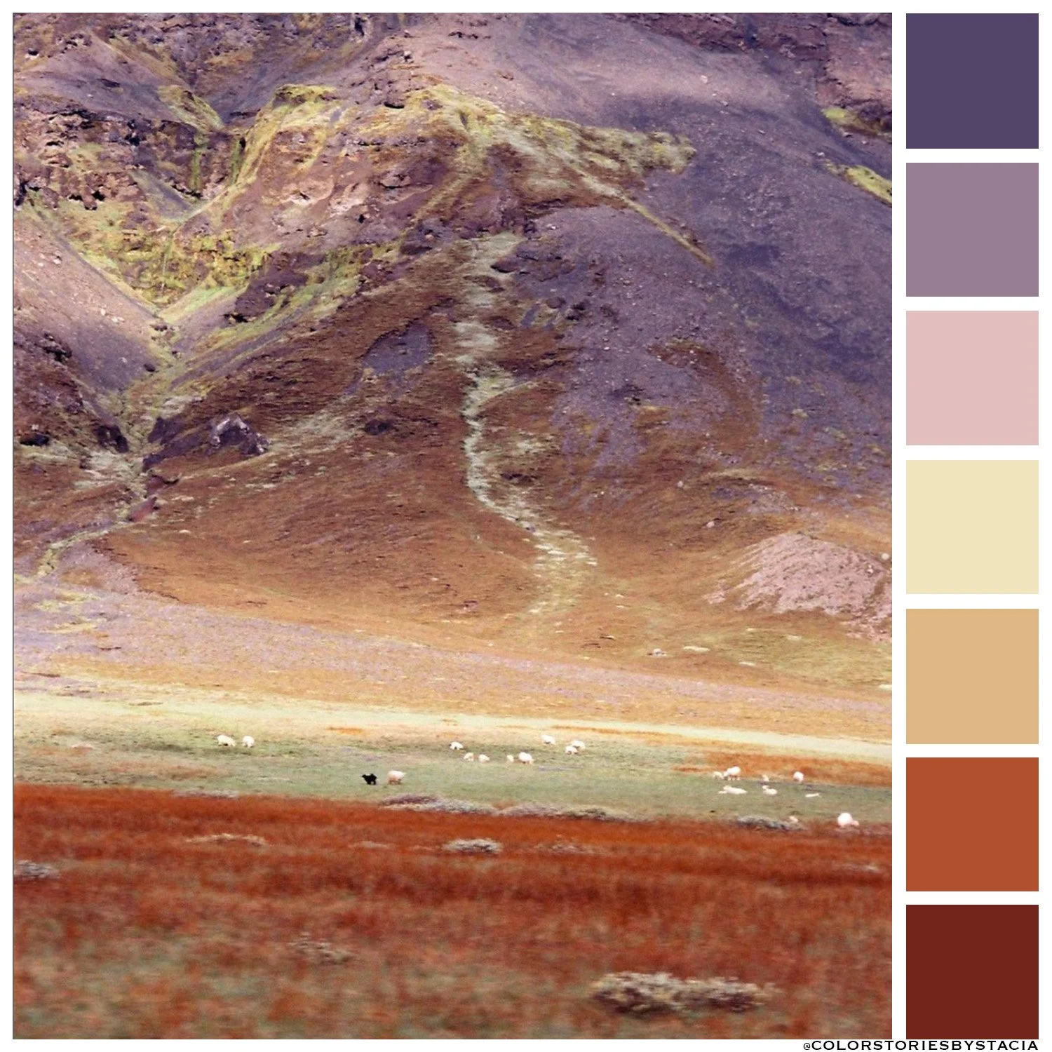 Lavender + Burnt Sienna