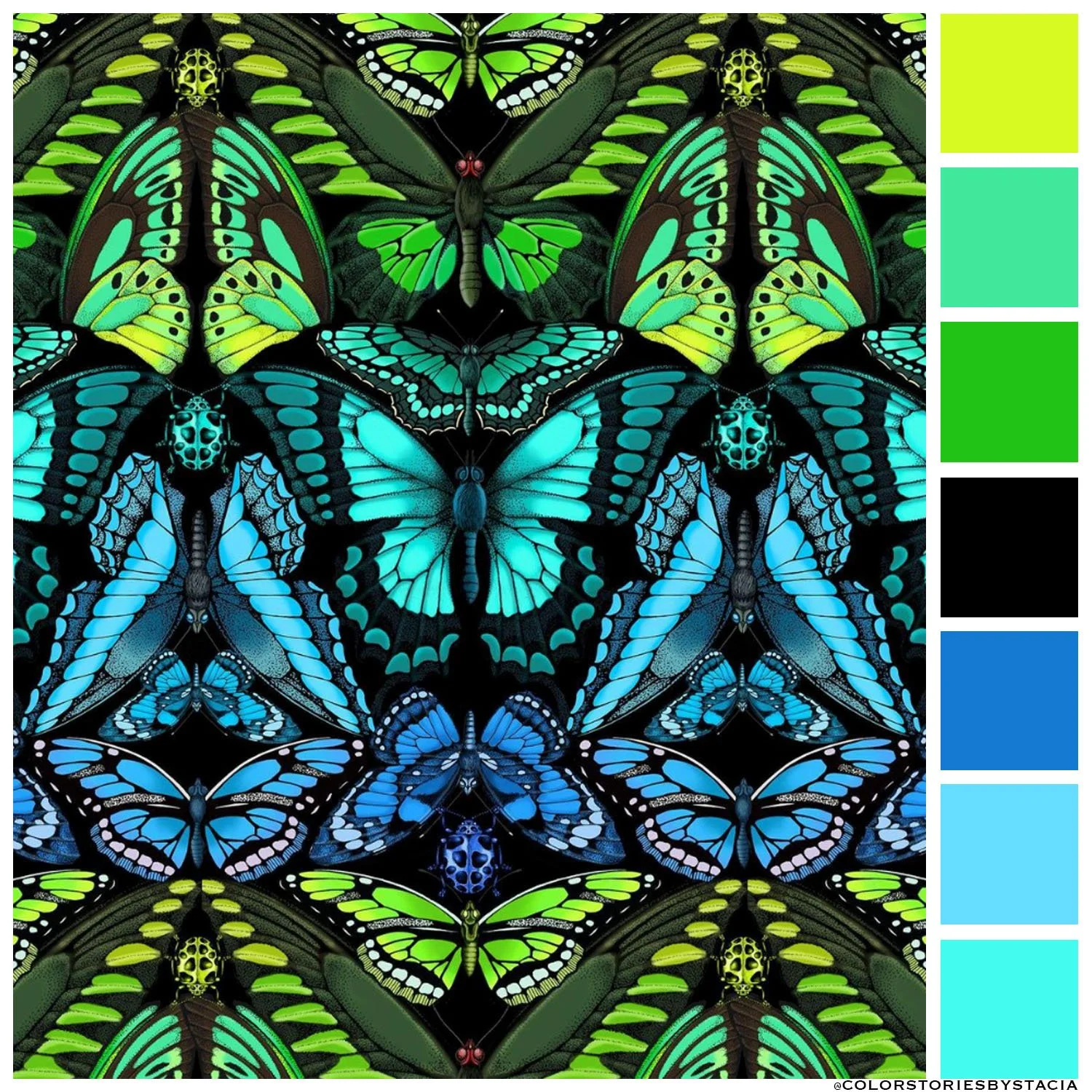 Butterfly Magic