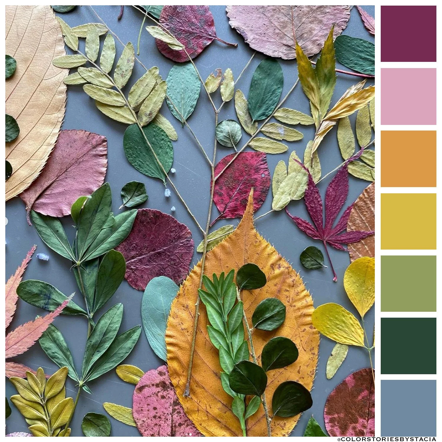 Colorful Fall Foliage 