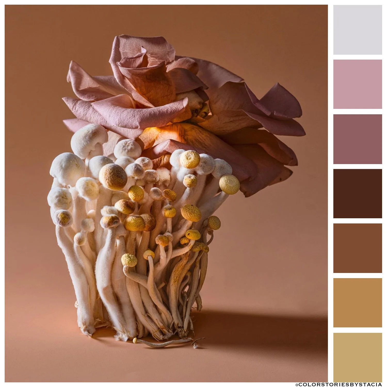 Flower + Fungi 
