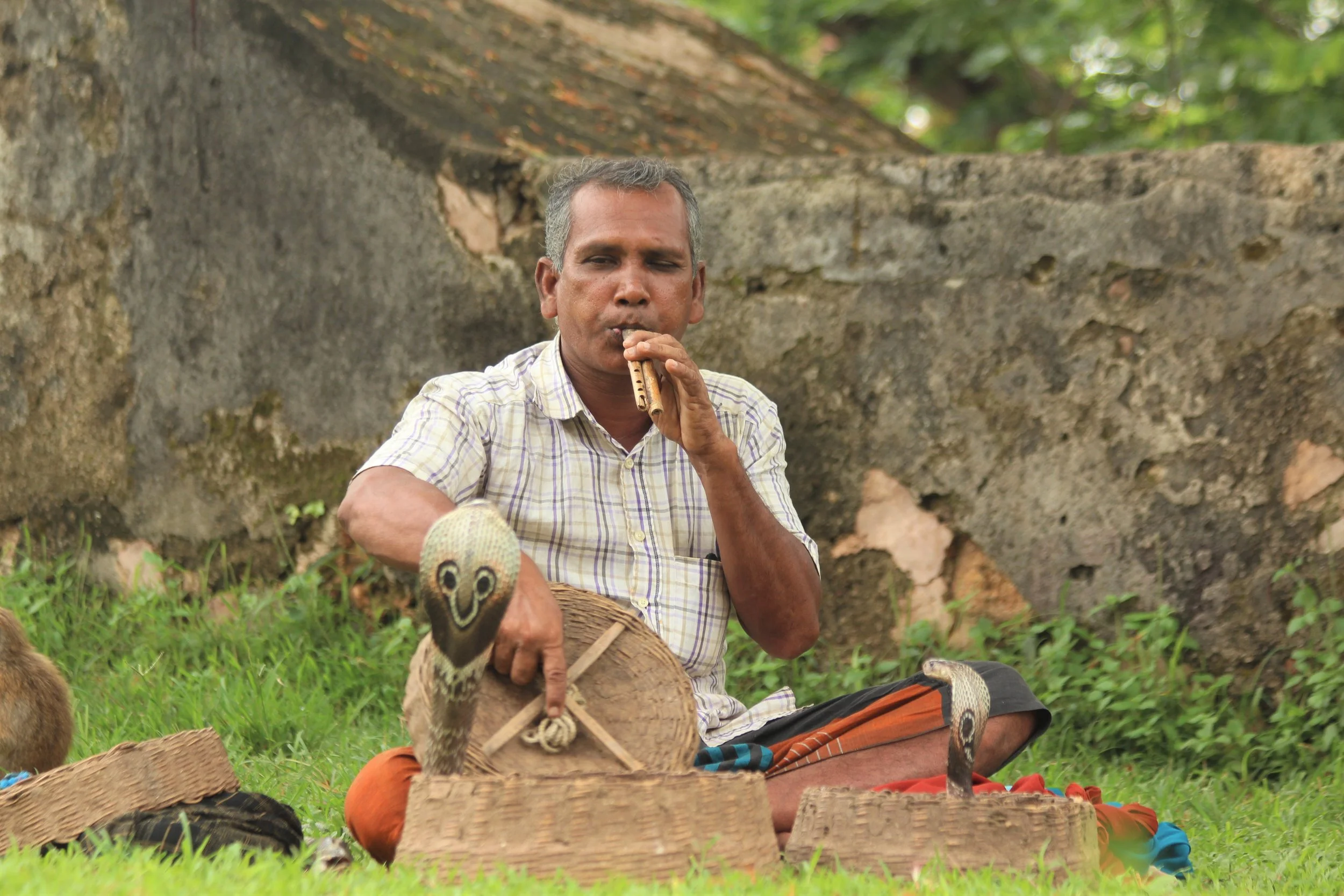 A Step into Sri Lanka - UNESCO Galore