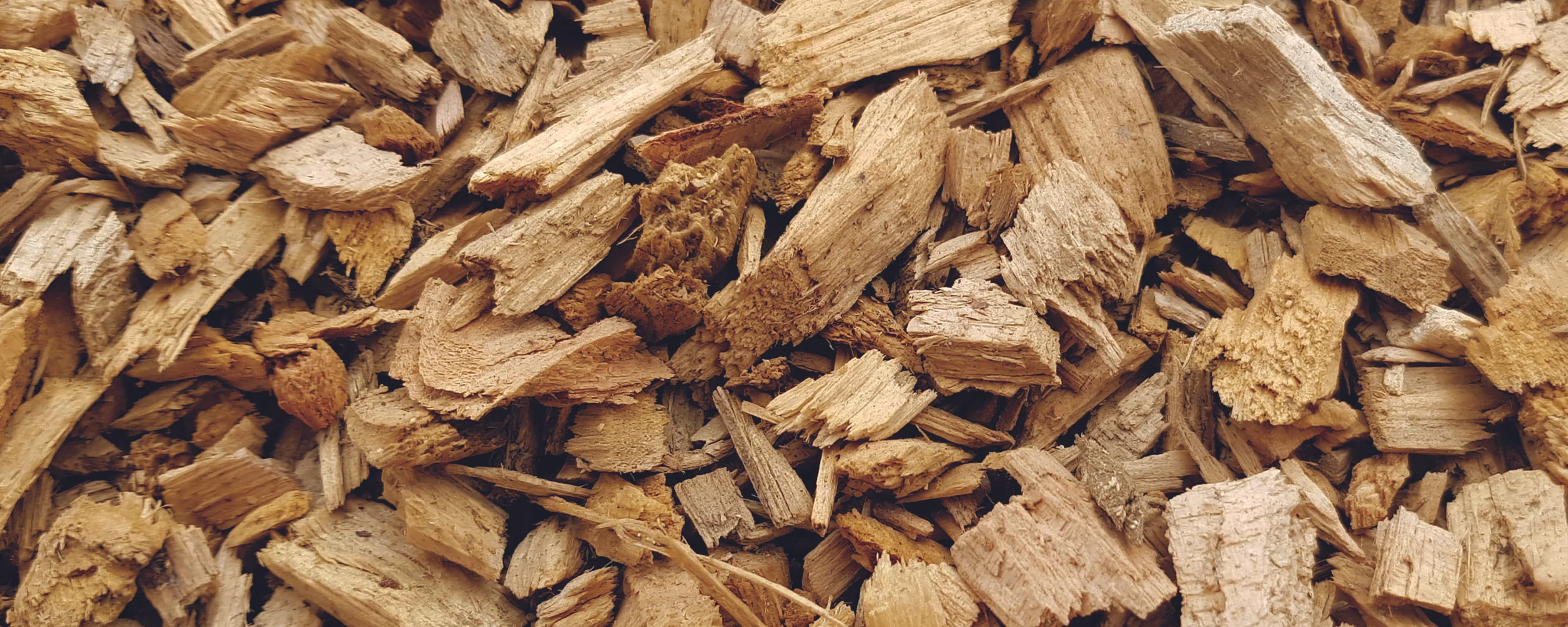Bark Banner.jpg