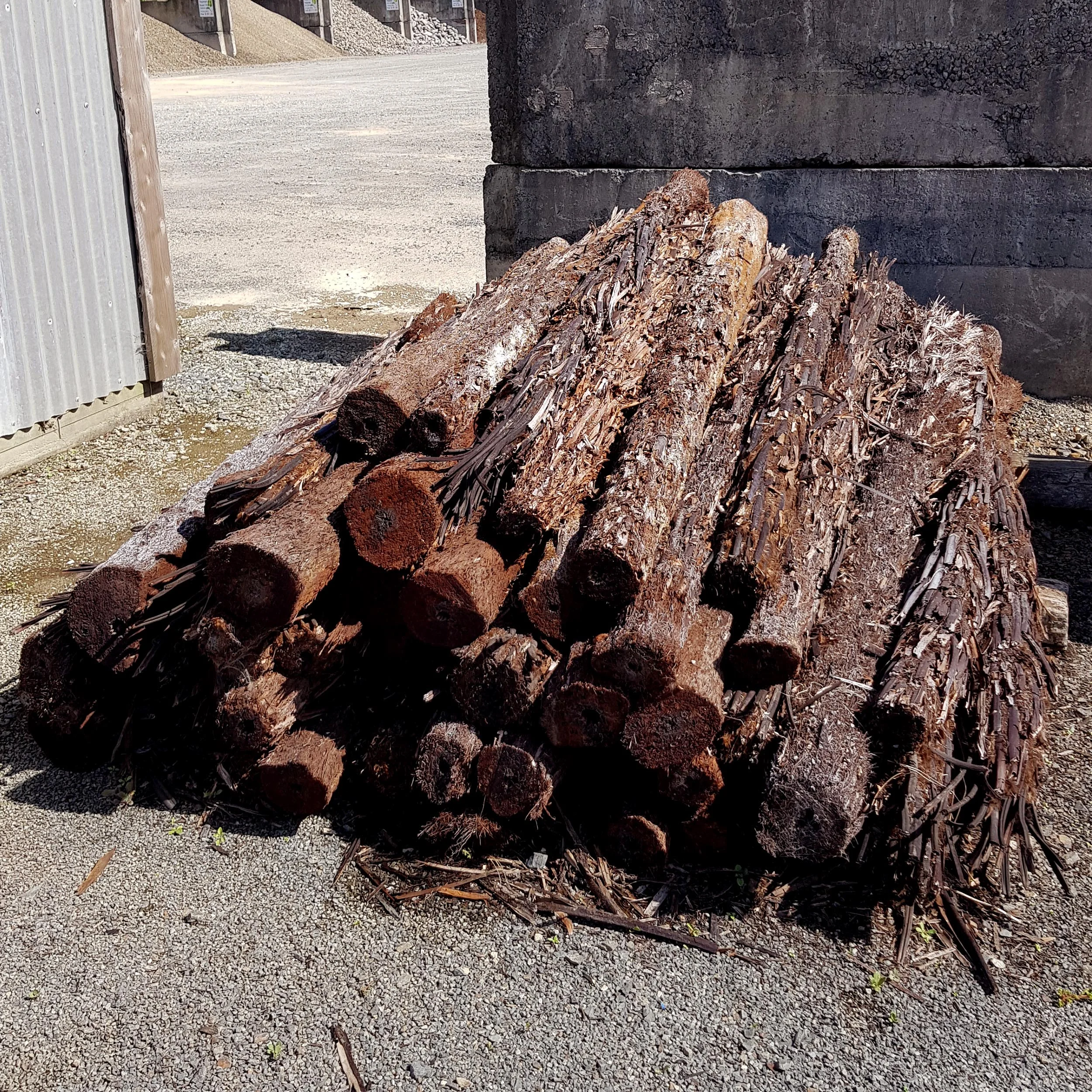 Ponga Logs