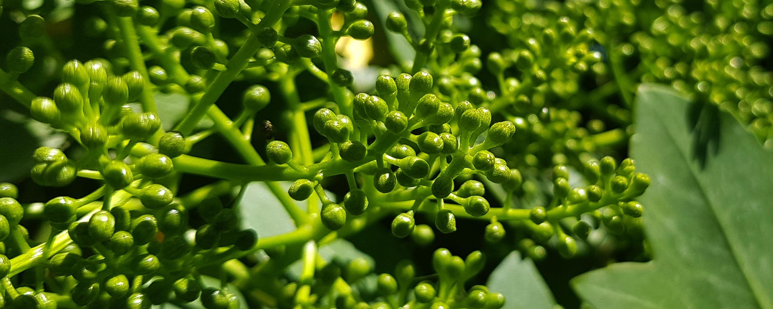 other products banner2.jpg