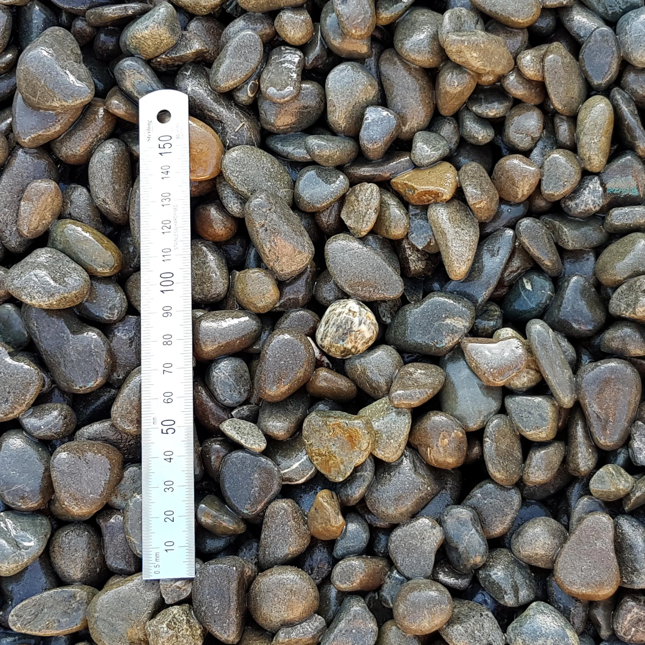 Awatoto Pebble (20mm)
