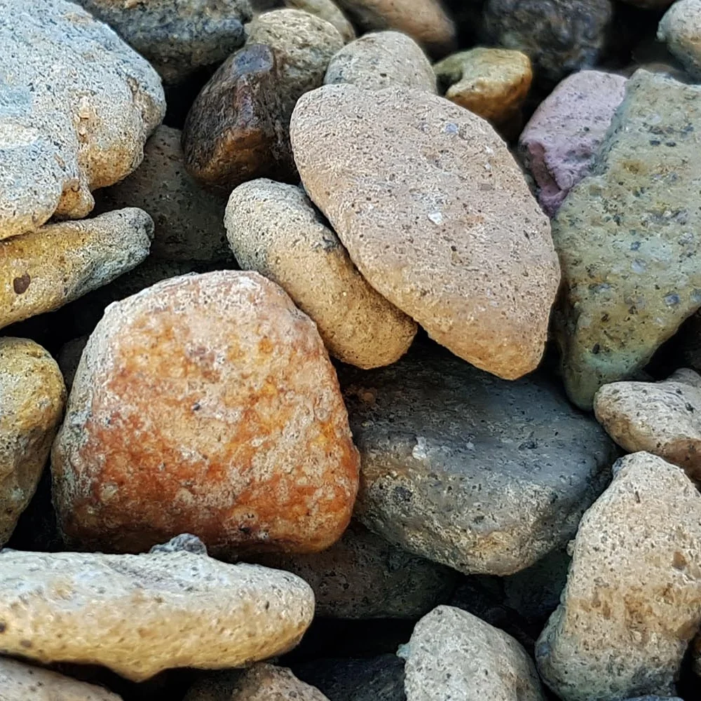 20180117_123307.jpg