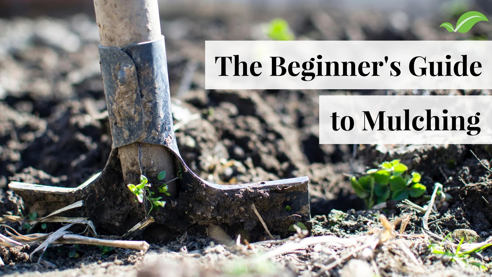 How to Start Mulching - A Beginner's Guide