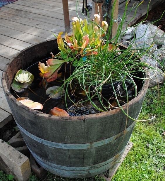 How To Use A Half Wine Barrel Complete Landscape Supplies - Half Wine Barrel Water Garden How To Use A Half Wine Barrel Complete Landscape Supplies - Half Wine Barrel Water Garden