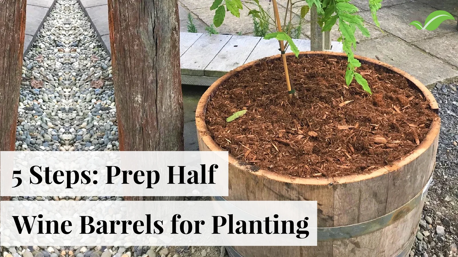 5 Steps to Prep Wine Barrels for Planting