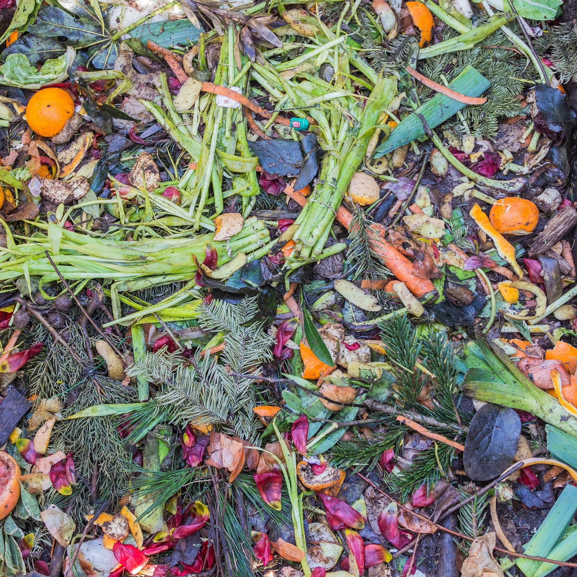 compost-1136403_1920.jpg