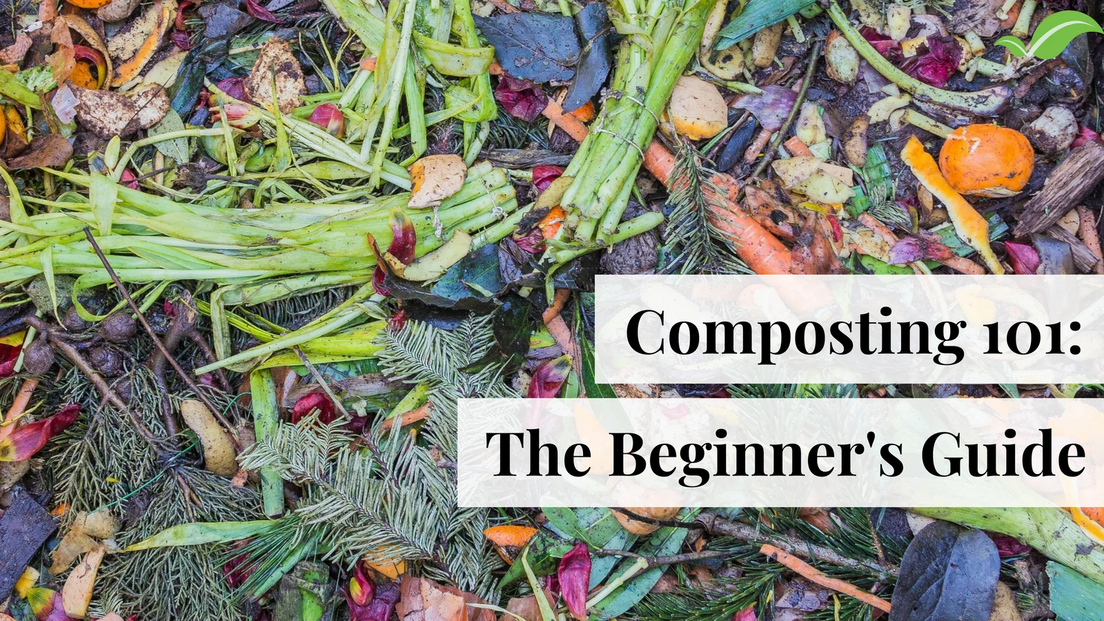 How to Compost for Beginners