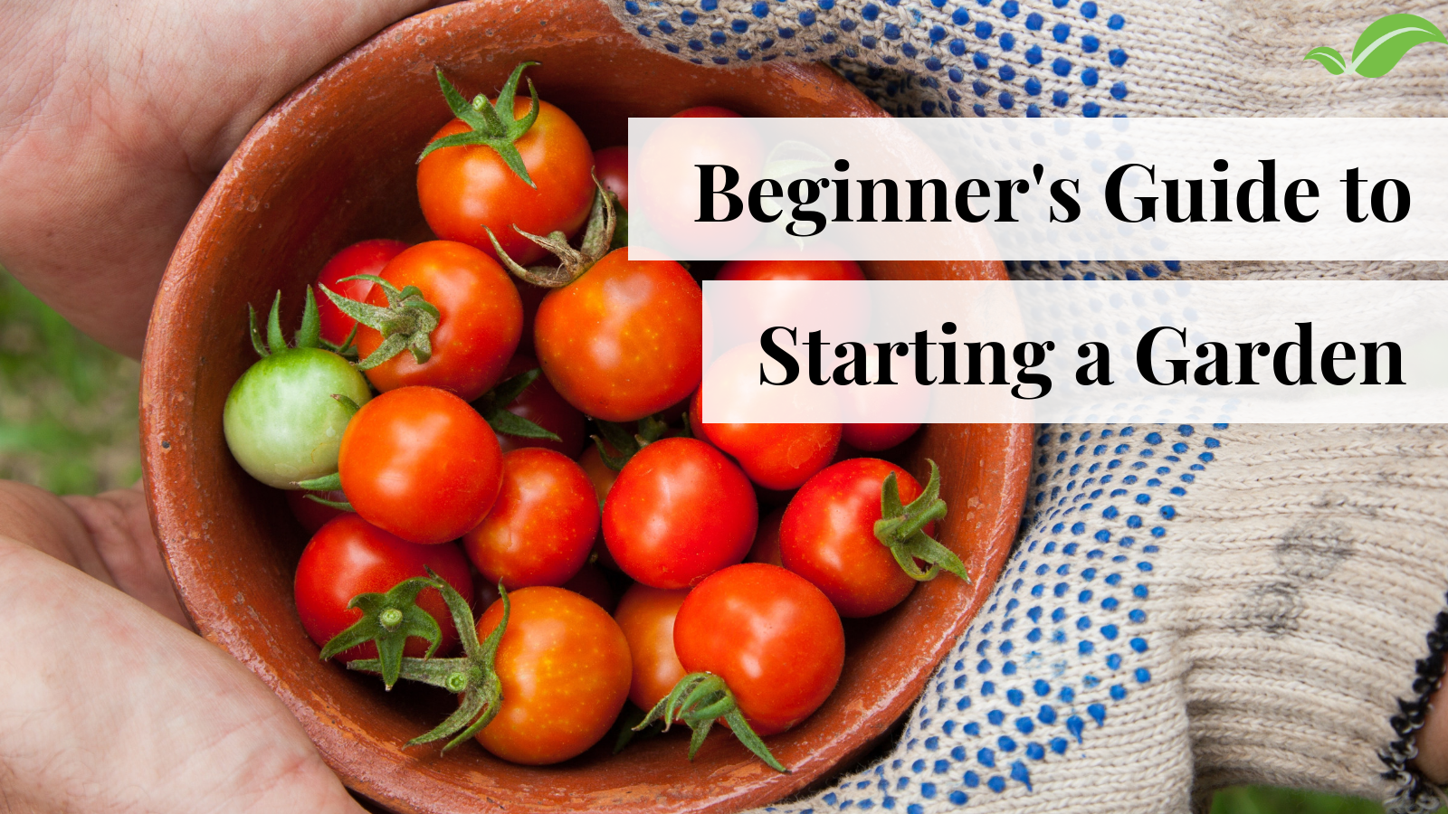 8 Steps to Starting your Garden Adventure
