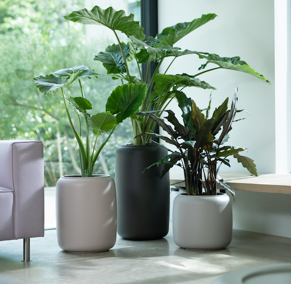 Elho Pots Beautiful European Pots for indoor and outdoor use