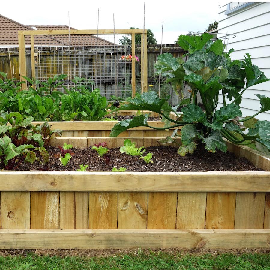 Planter Boxes, Wine Barrels and Easy Staking Solutions. — Complete