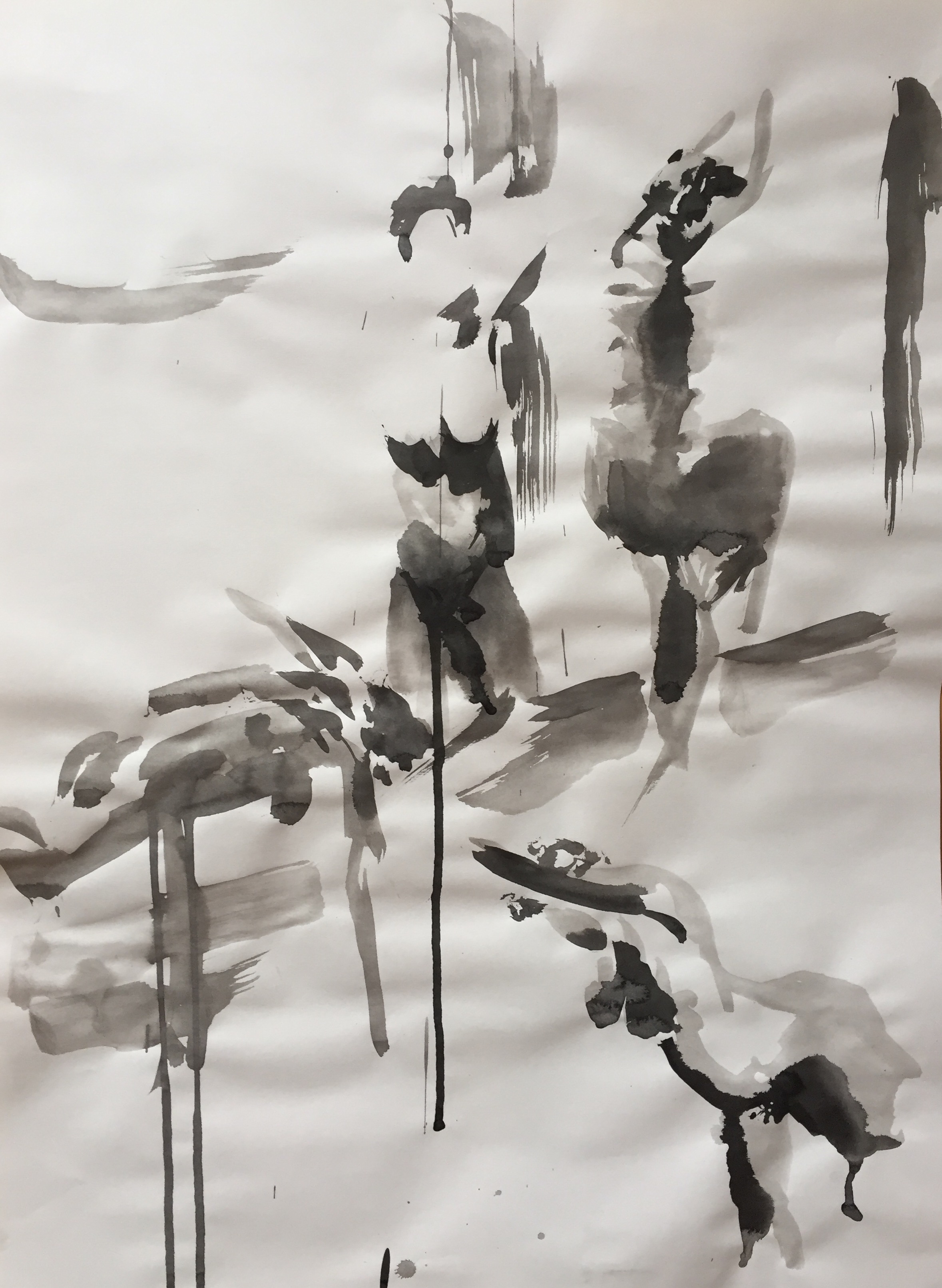 Study of a Woman in Motion