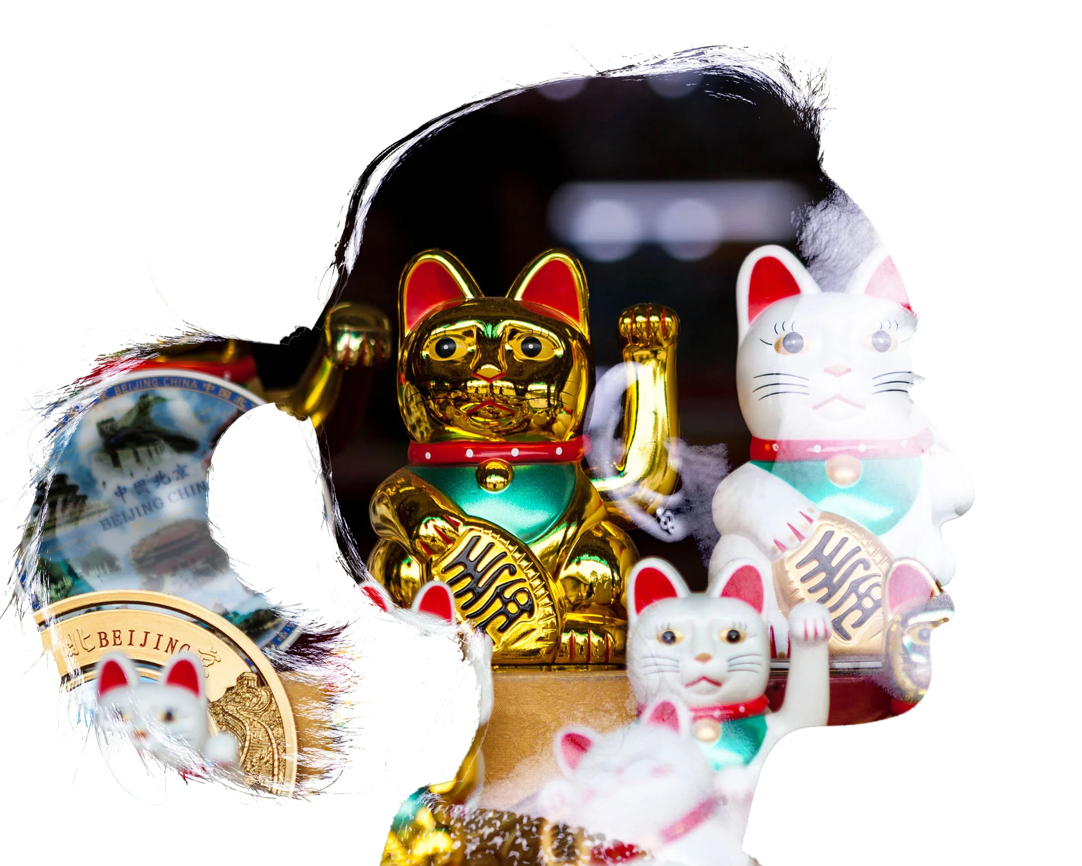 side_cats.jpg