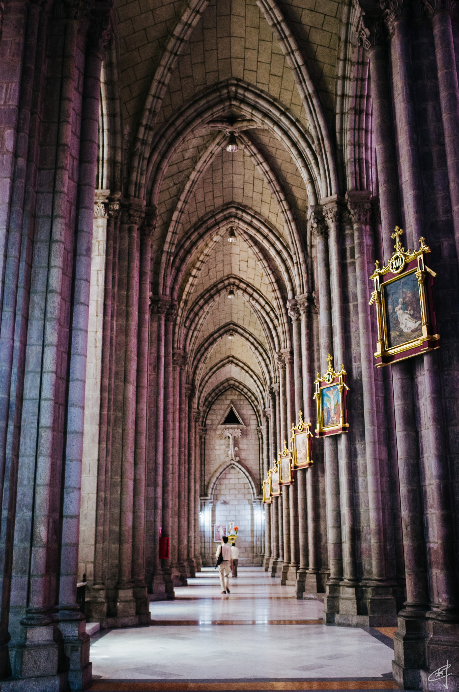 Basílica de Voto Nacional, 2018