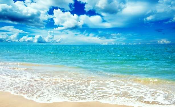 August 2018 Newsletter