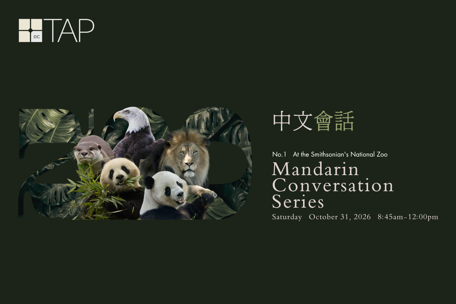 Mandarin Conversation 中文會話 at the National Zoo 🎃🐻🐼🐯
