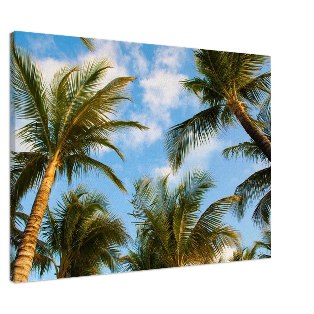 tmp-345-k3NF6zaGOLqk