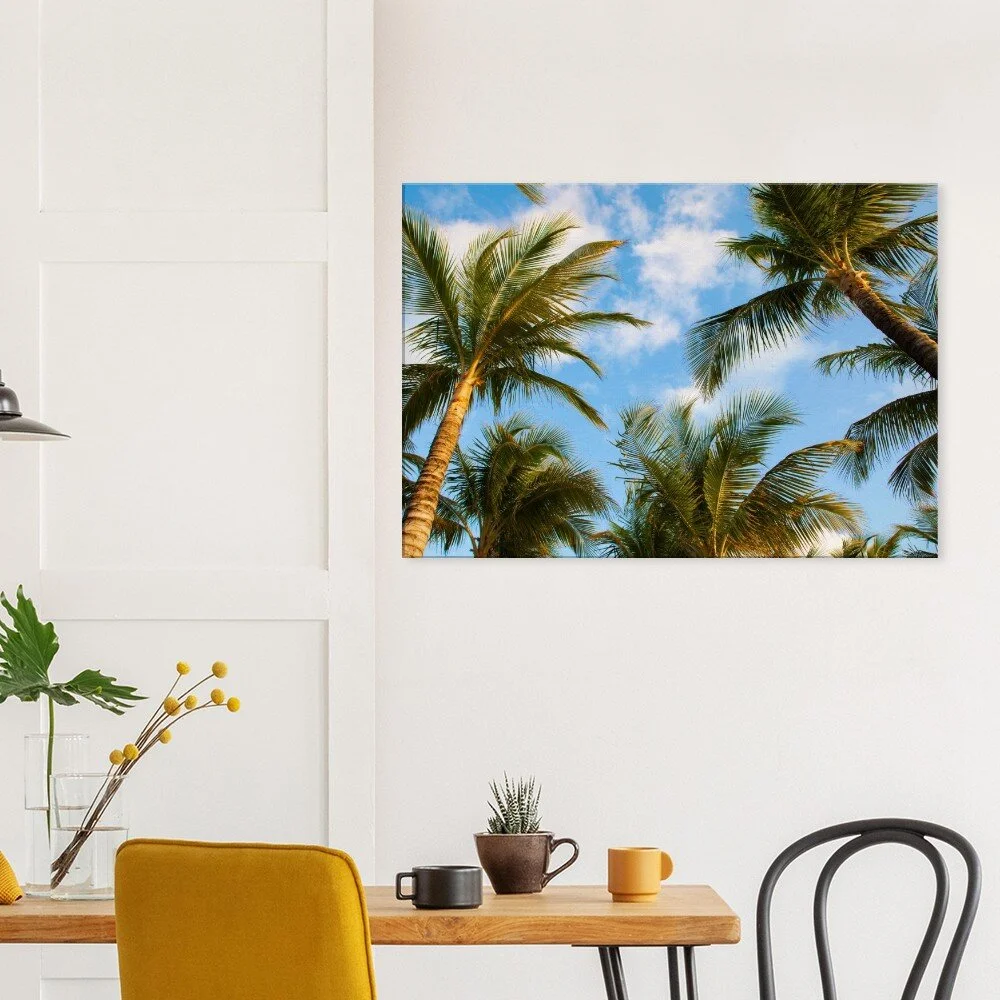 tmp-345-3vX8Jd3vIRDn