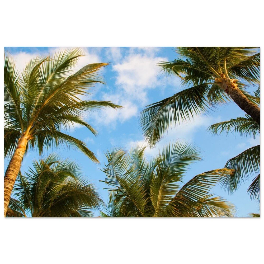 tmp-414-3iJU8rbbHzP5