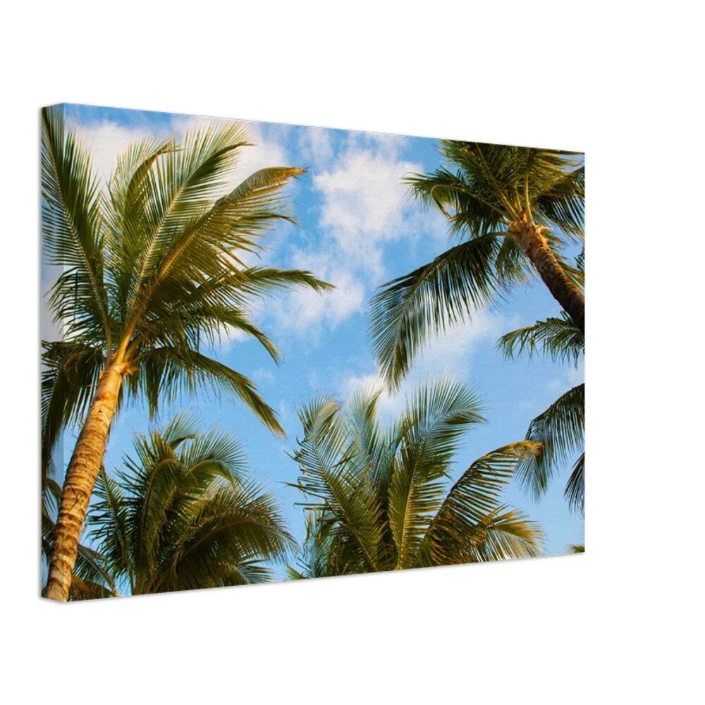 tmp-345-vGCsau8g9GTj