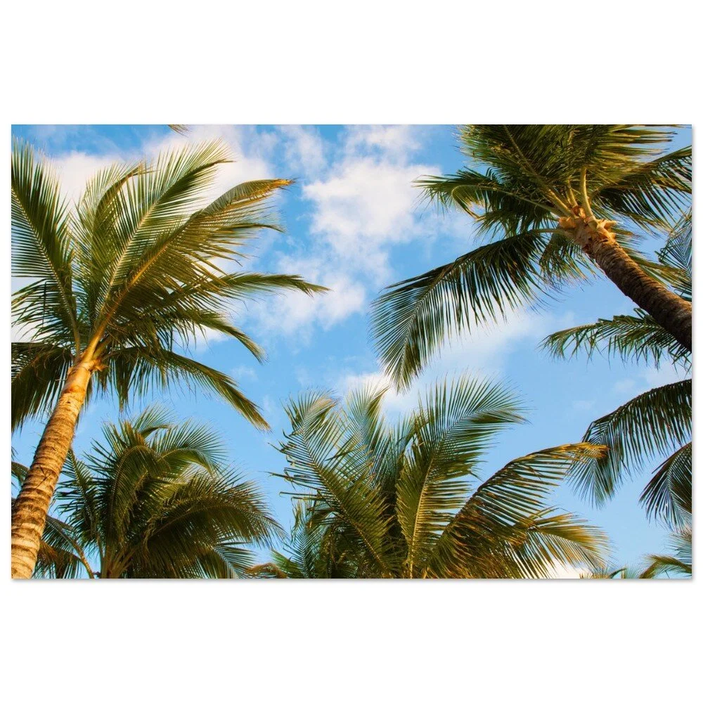 tmp-414-iojFXdPuFSe7