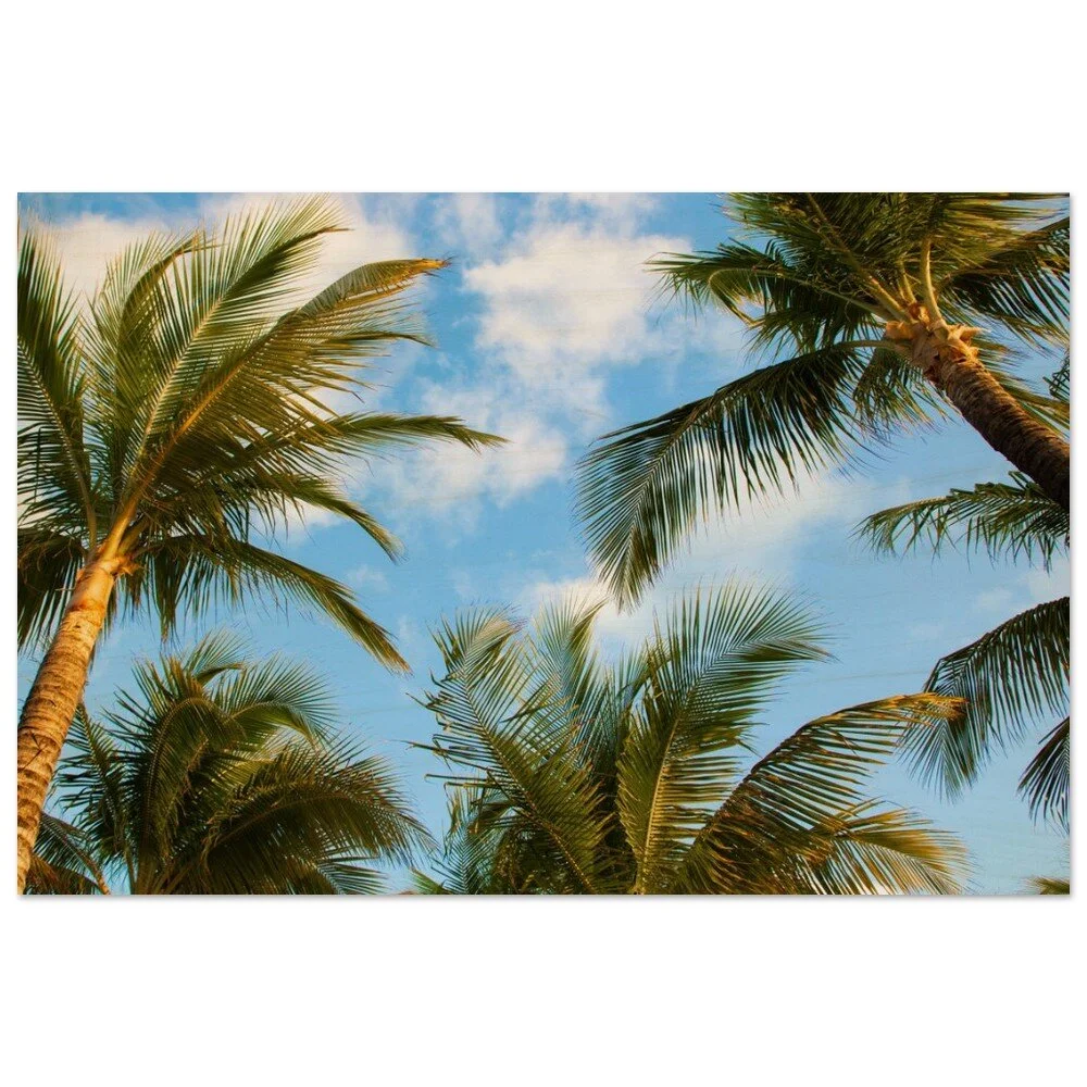 tmp-413-dtJVdLBffISy