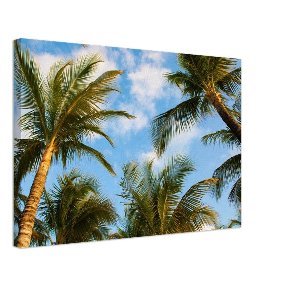 tmp-345-O3IyZ3H0Ira0