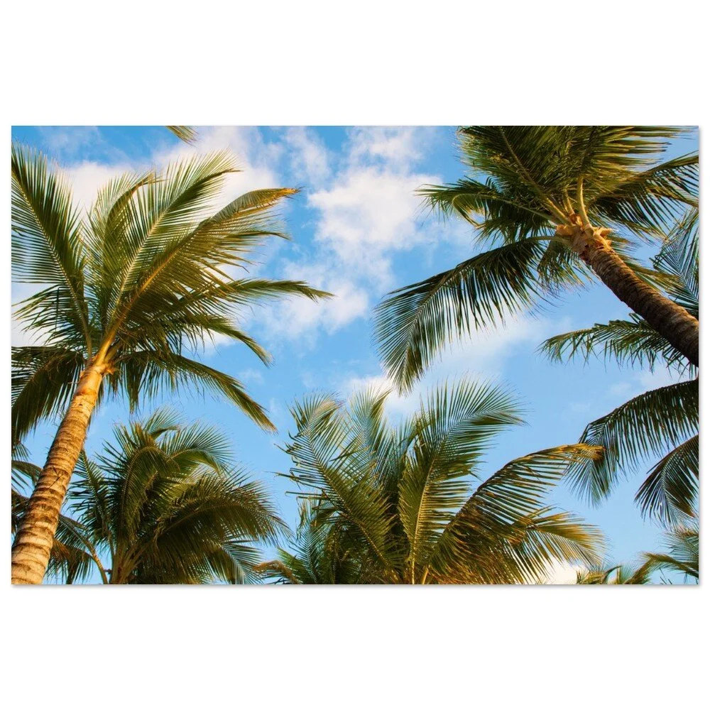 tmp-414-0W1S0yBEPj4y