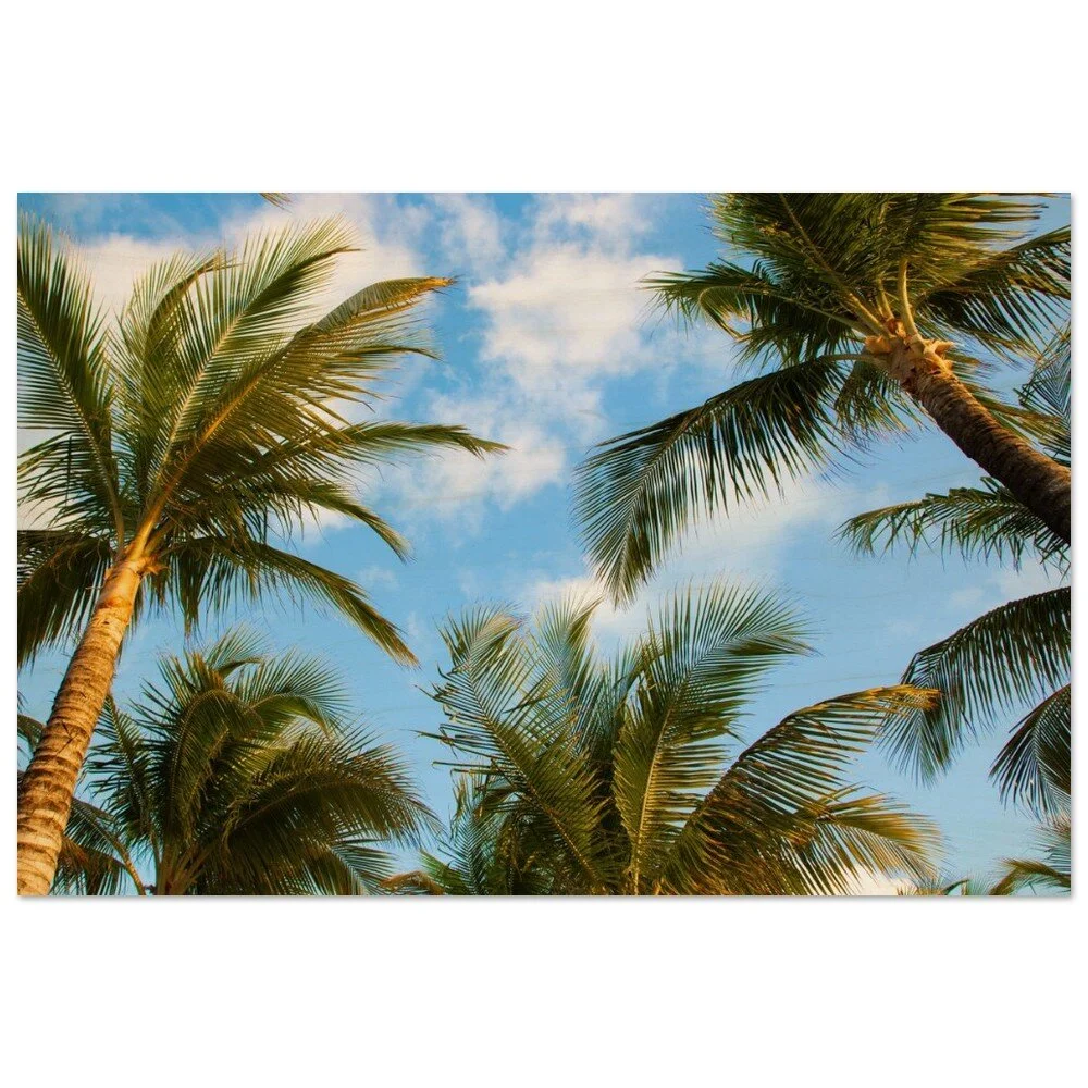 tmp-413-xM4202FPeuVv