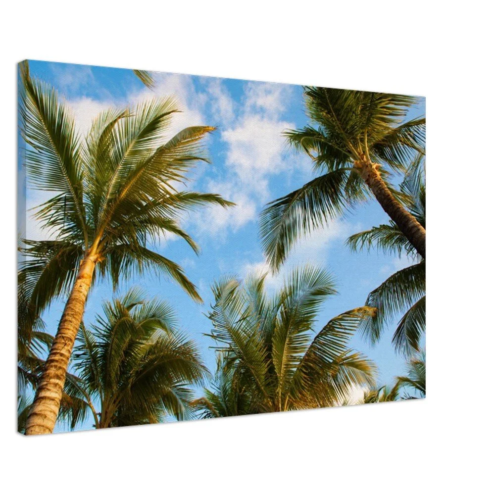 tmp-345-wKS5wWPyHaIs