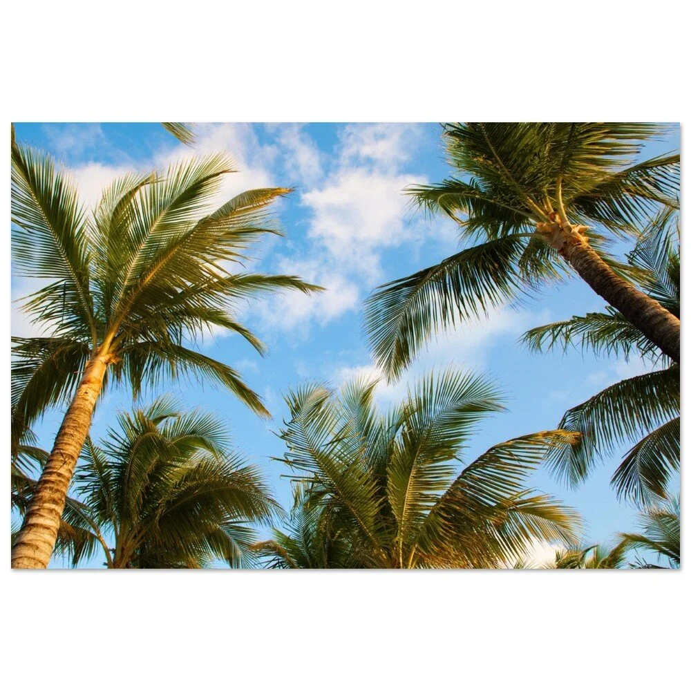 tmp-414-De3k3JKPdOSd