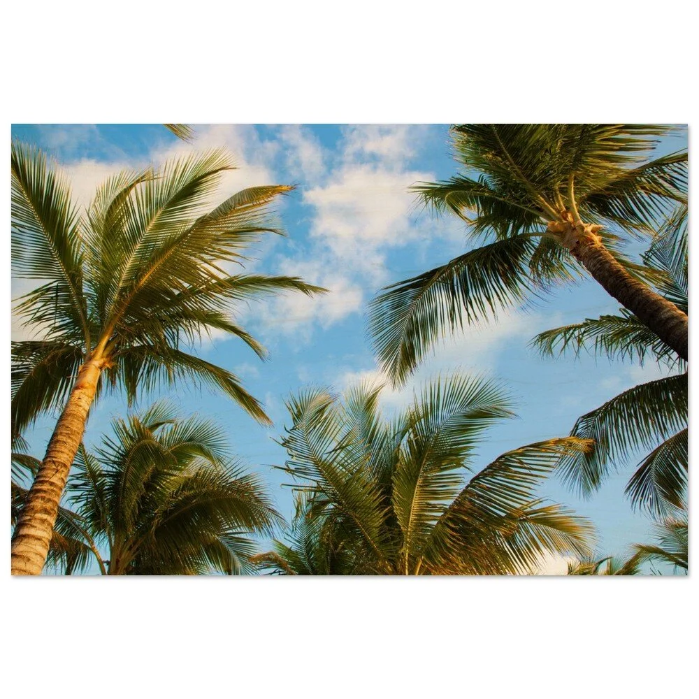 tmp-413-wTfi6QVTrChL