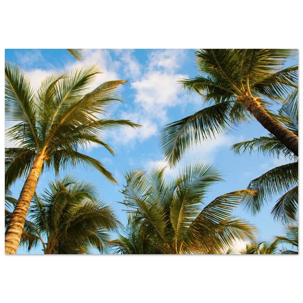 tmp-414-7xu8ufCPolZq