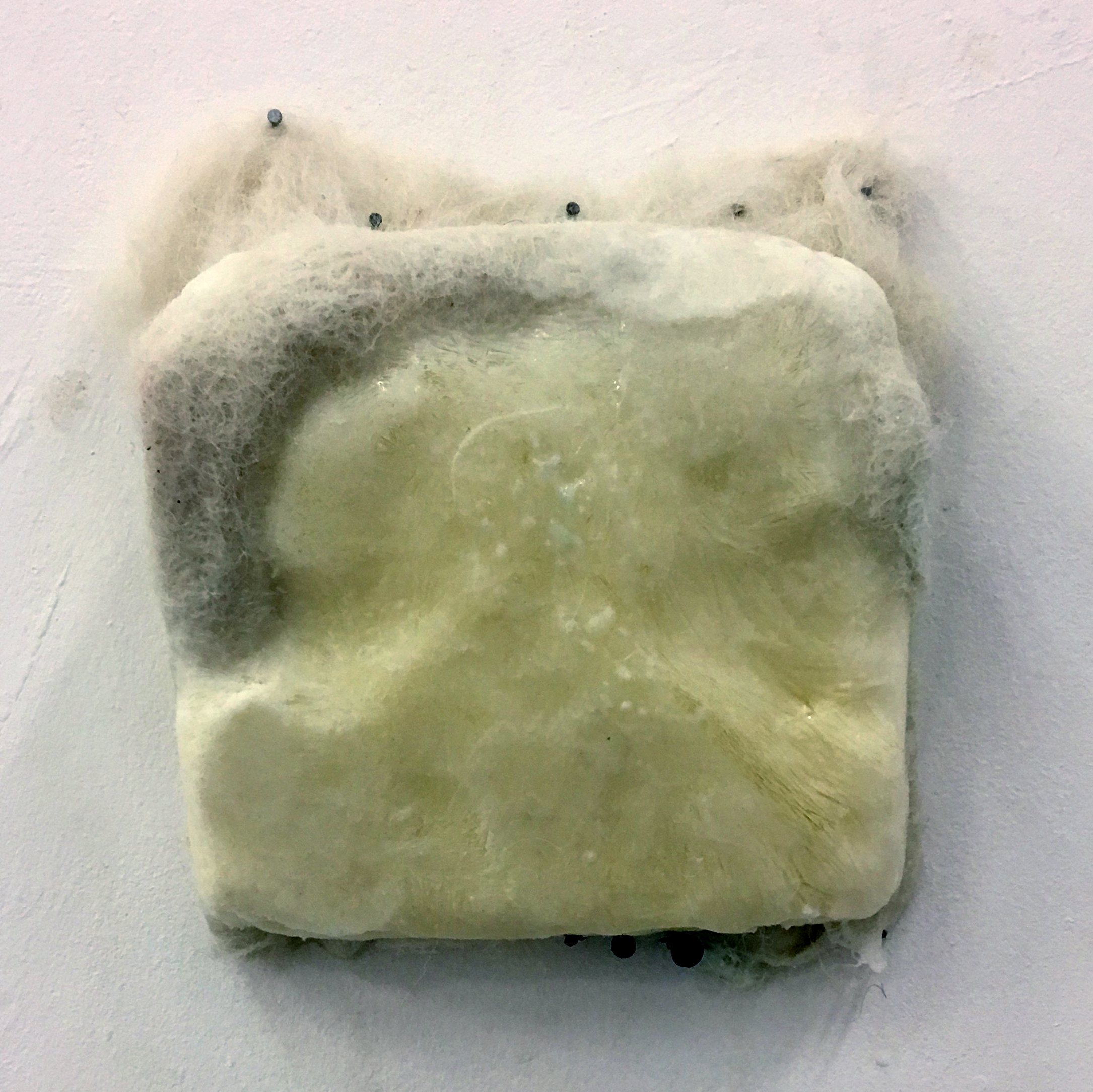  Wool, frozen milk  2018 