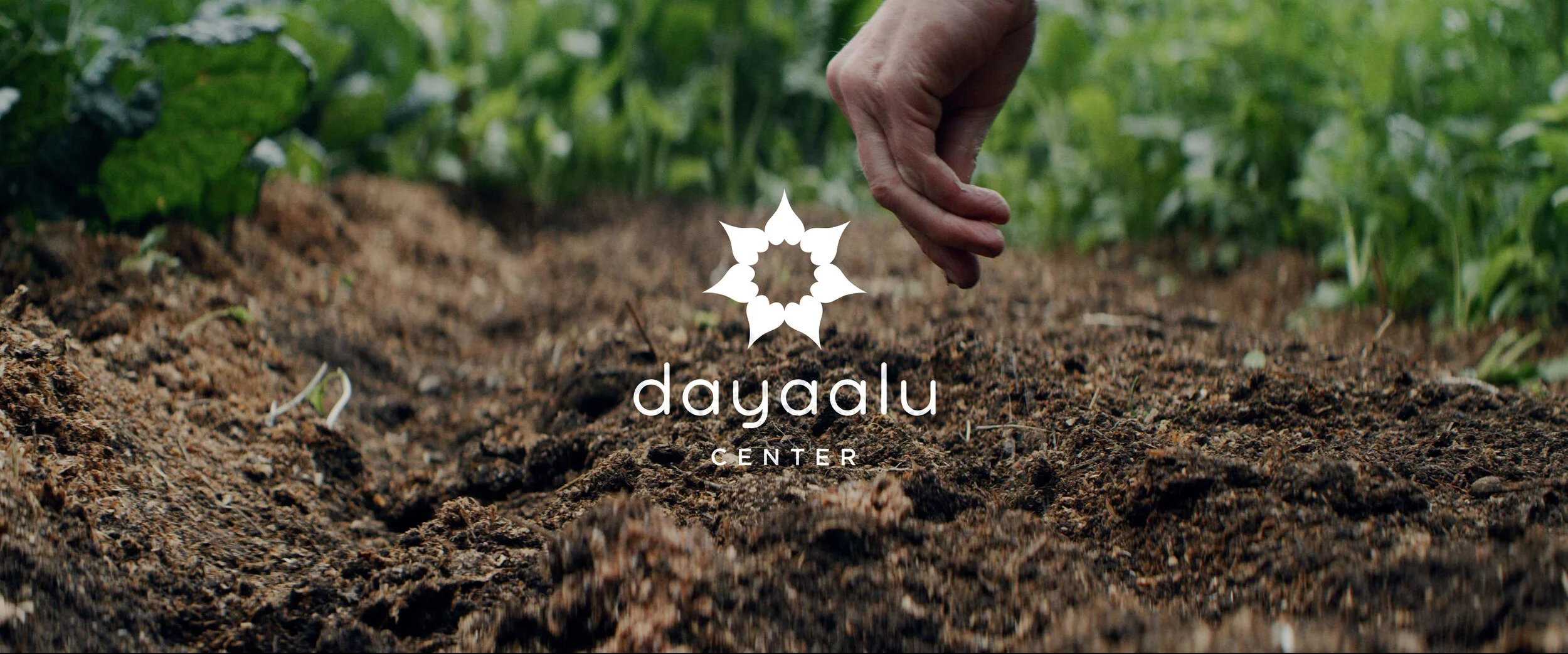 Screen Shot 2019-08-08 at 11.21.41 PM.jpg