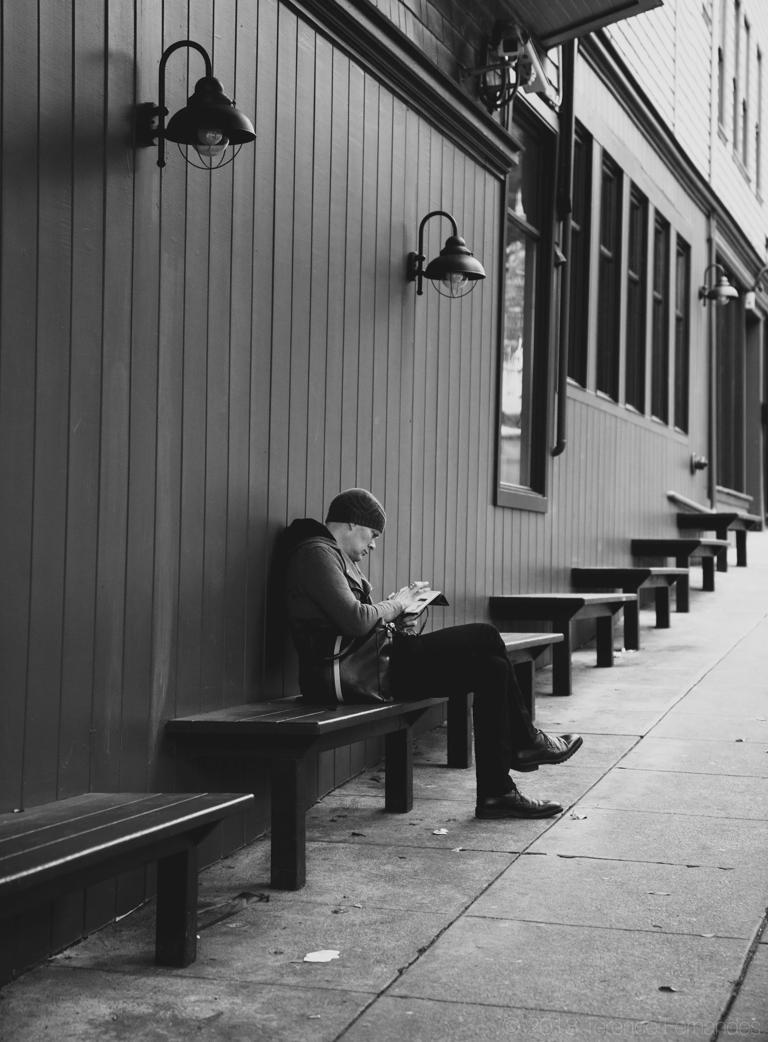 "reader's ascension"