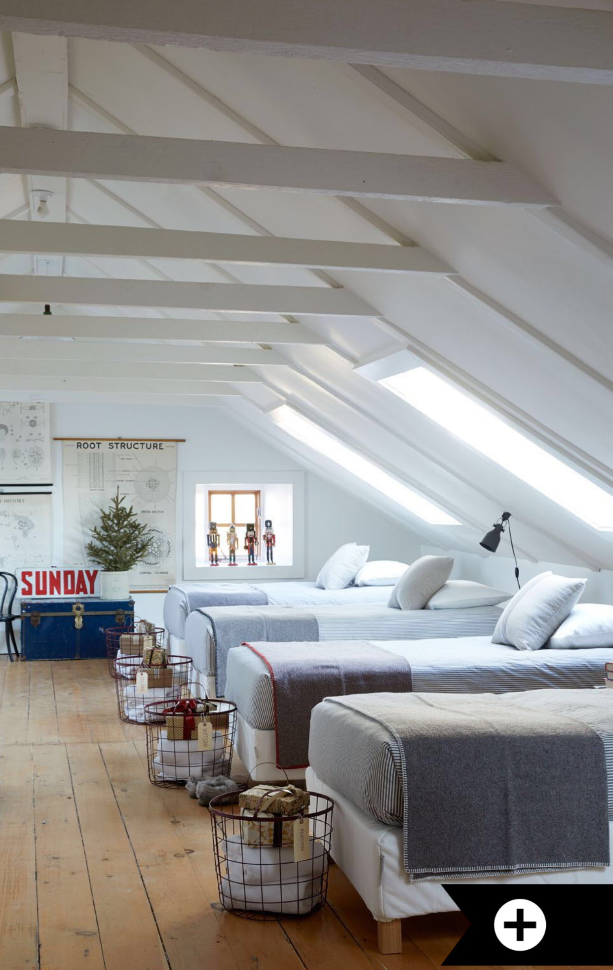 Photo Credit: Virginia MacDonald for House & Home (November 2017)