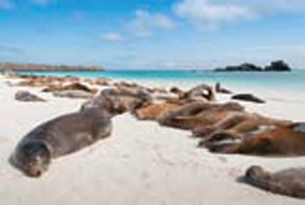 22-25_galapagos_2015-4.jpg