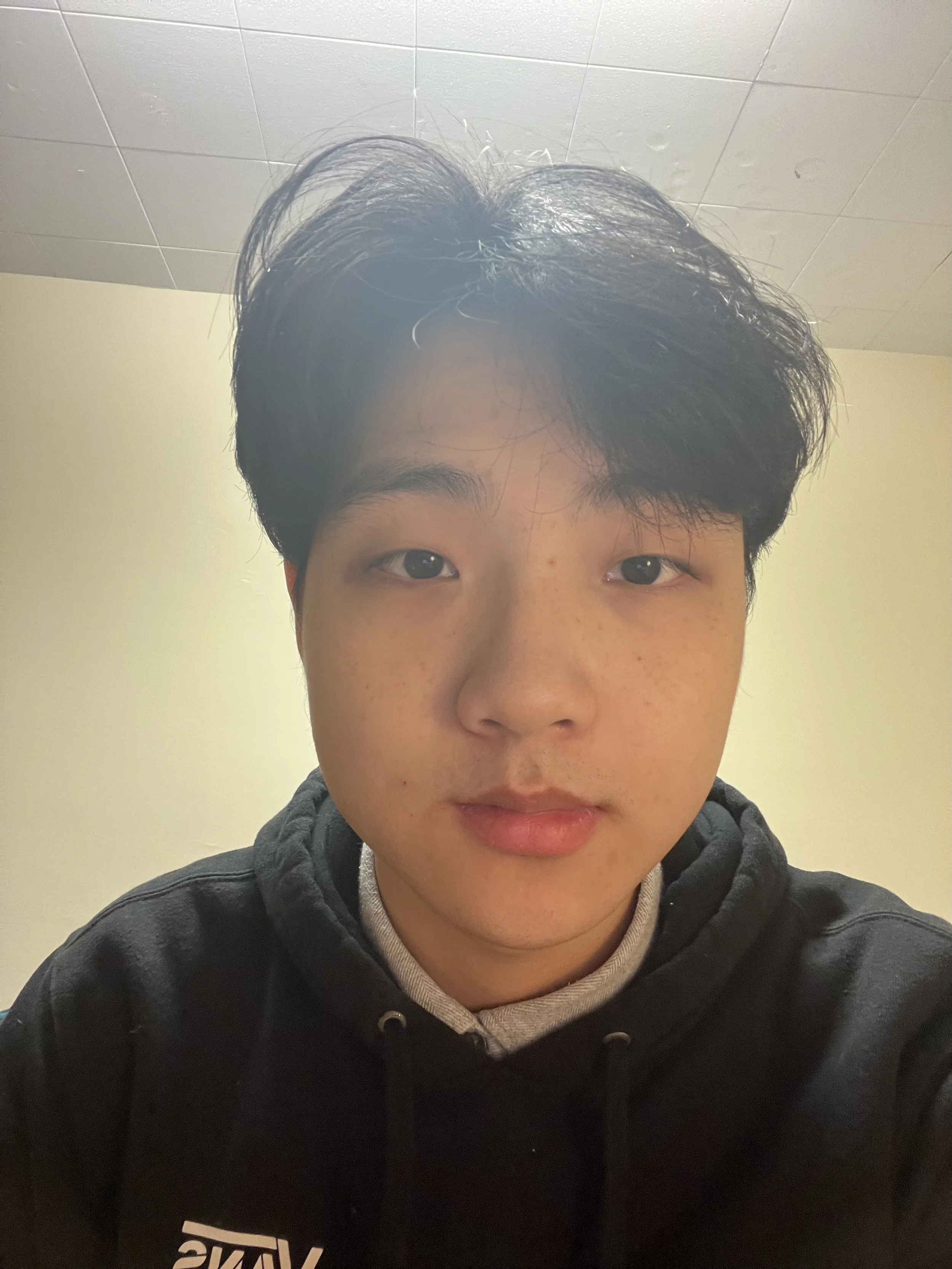 Travis Shen (Undergrad)