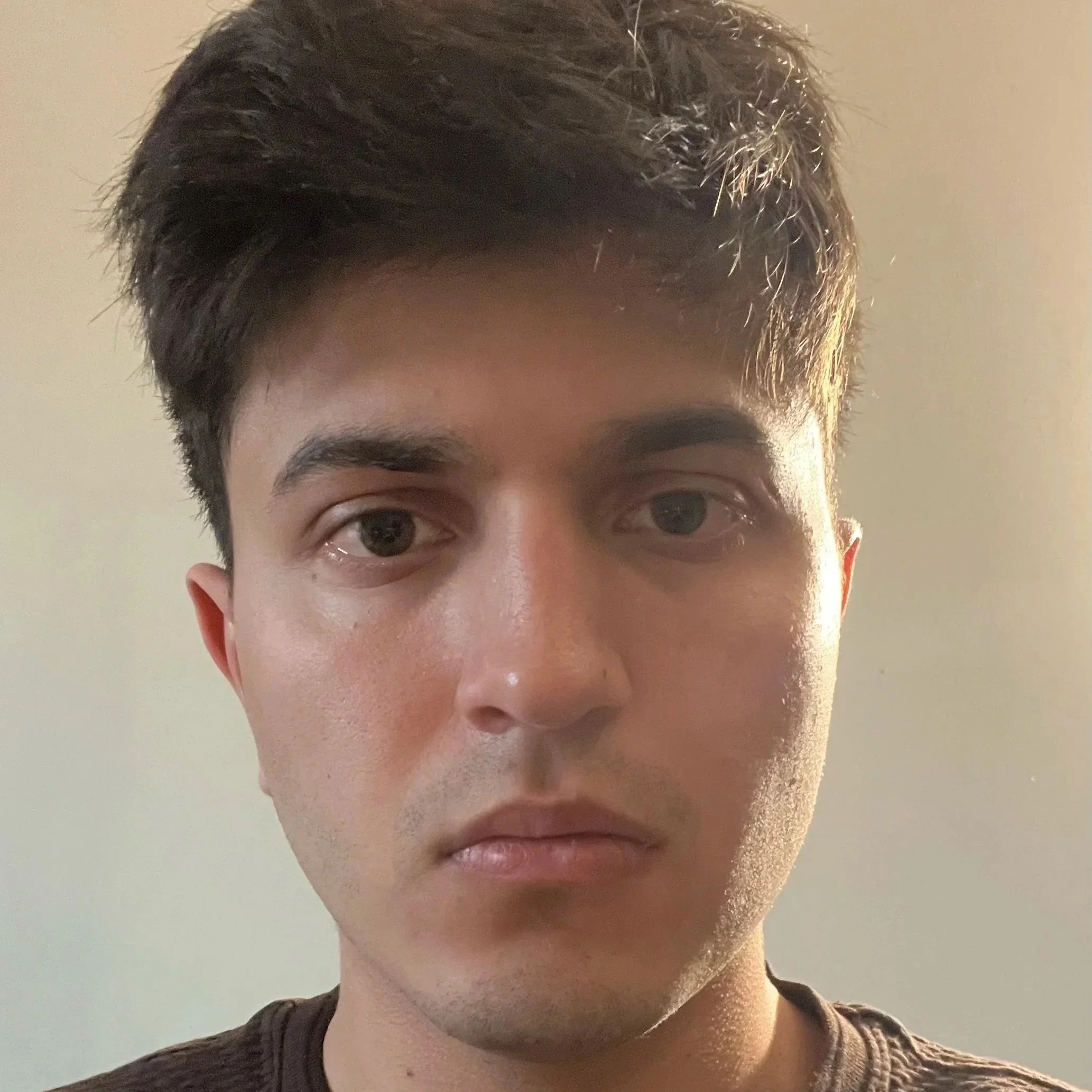 Janu Dreher (Visiting Researcher)