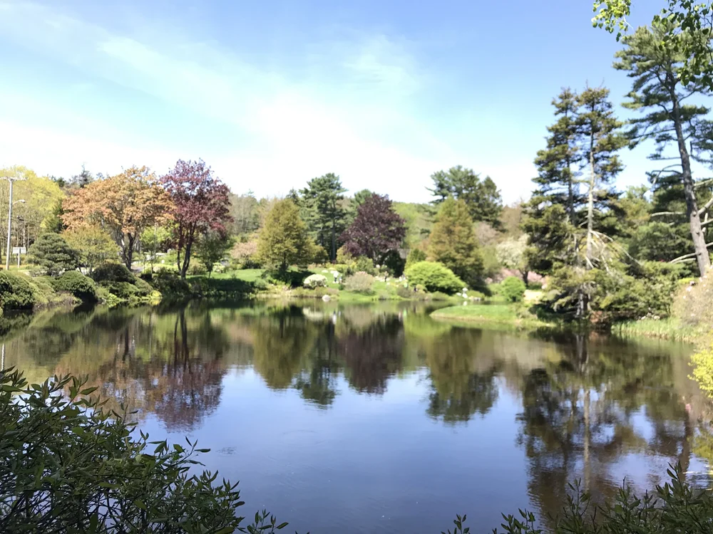 Asticou Azalea Garden