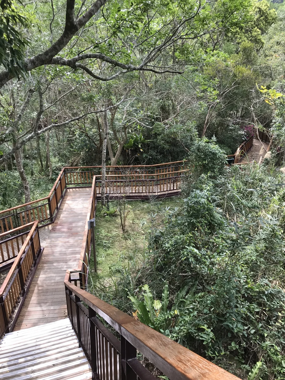 Buluowan Service Station - Butterfly Garden