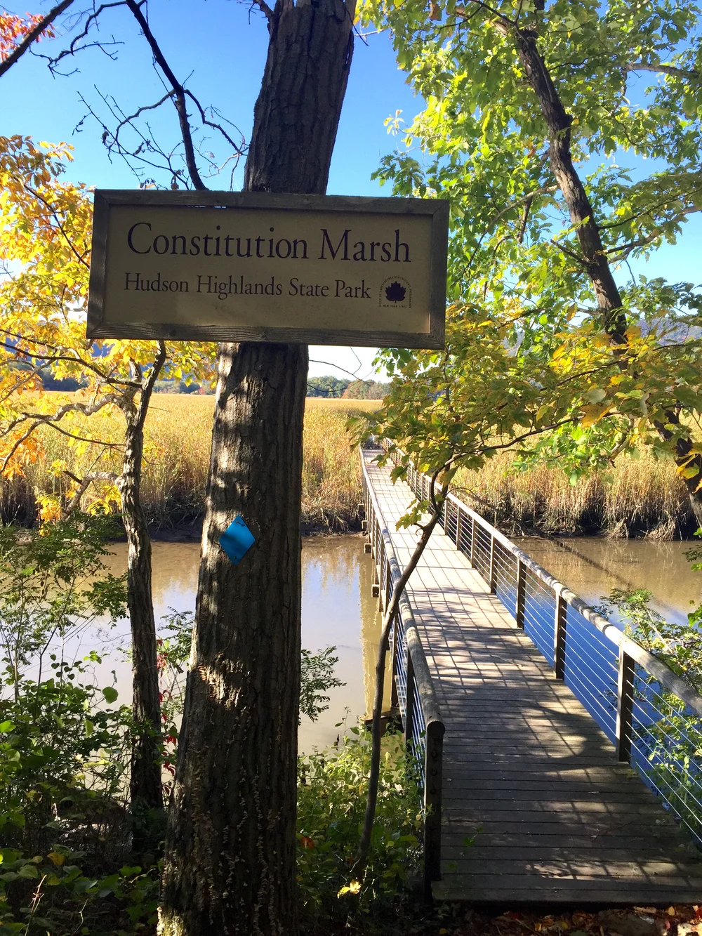 Constitution Marsh