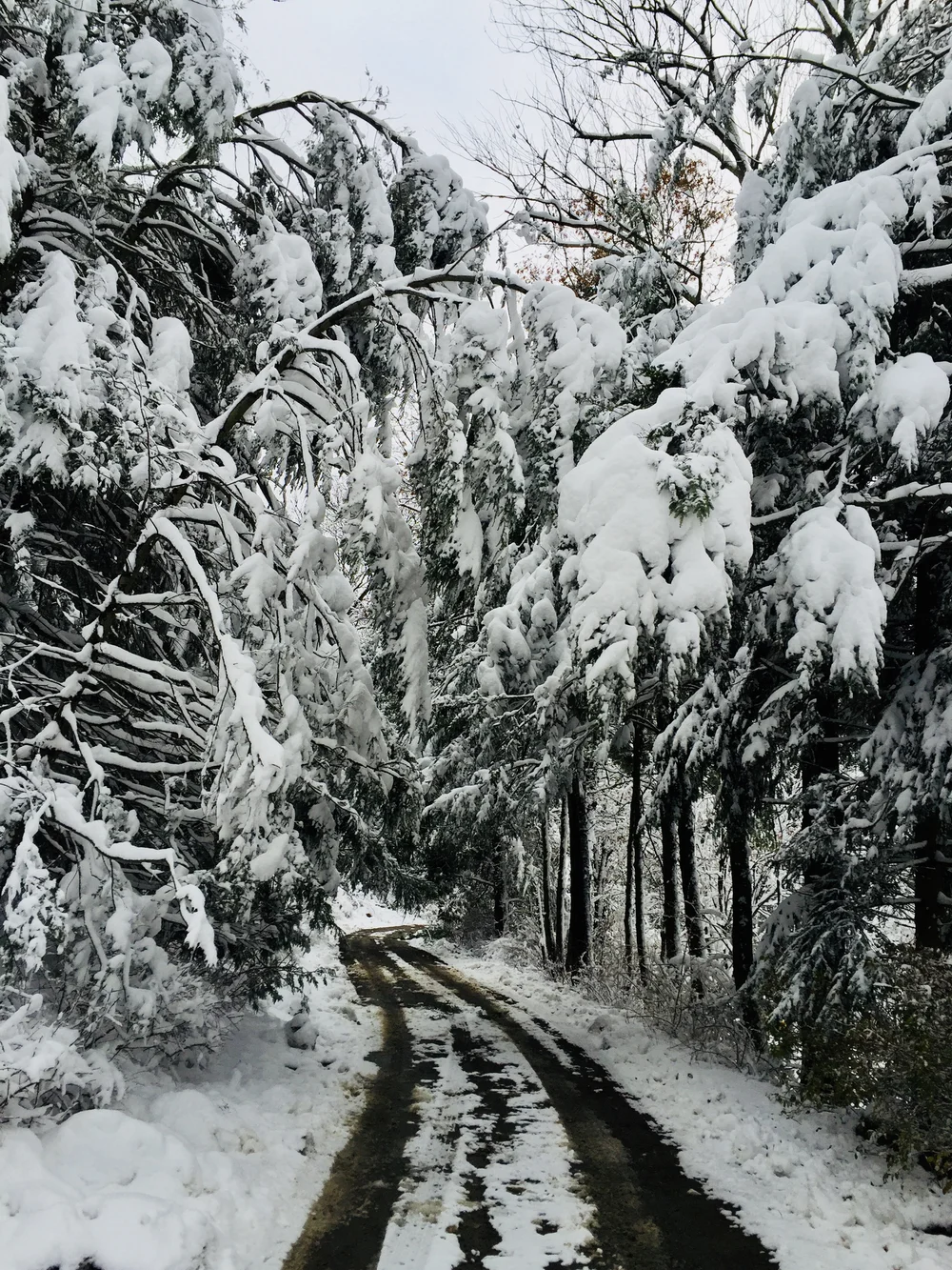 Winter view of Garrison