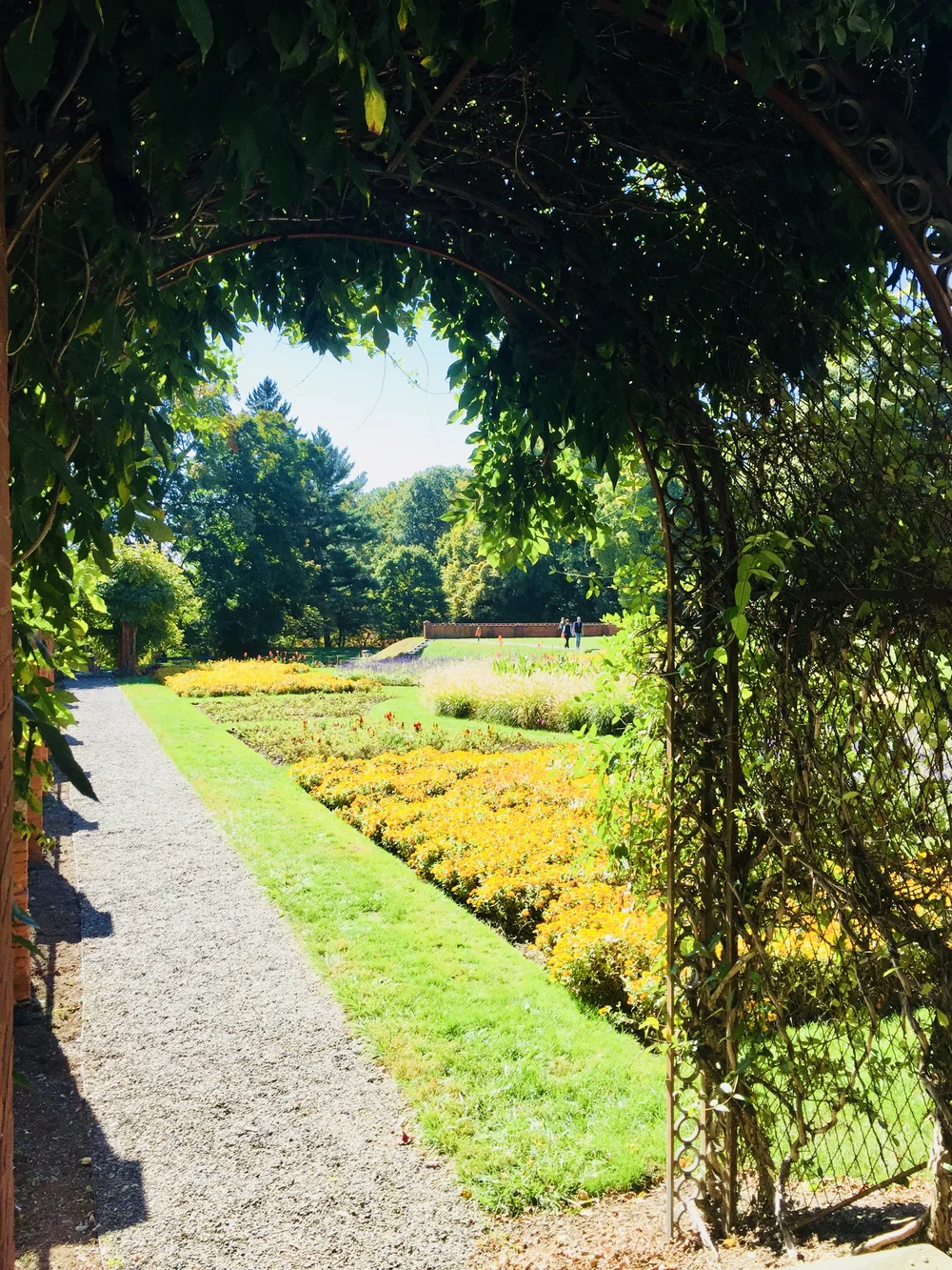Formal gardens @ Vanderbilt Mansion