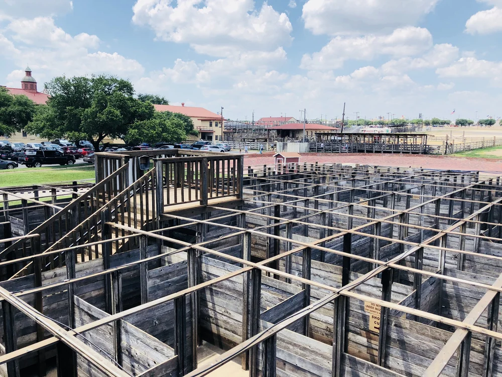 Overlook by the maze