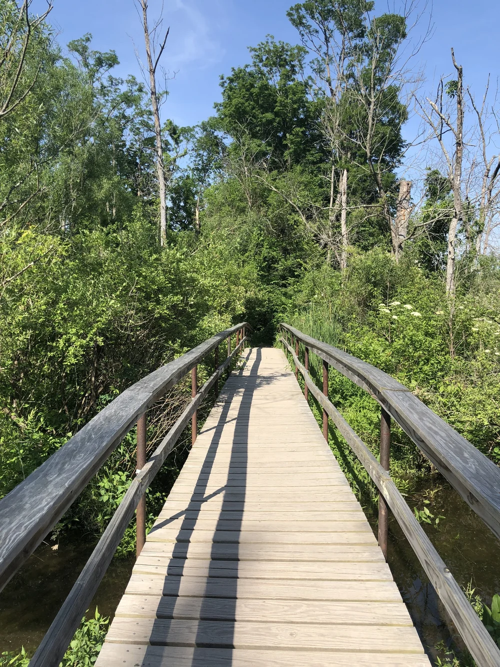 Short walk to the Saugerties Lighthouse